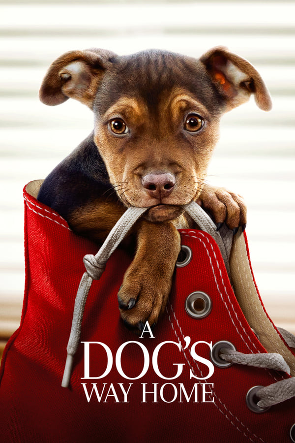 A Dog's Way Home (HD MA/Vudu)